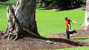 Disc Golf New Zealand