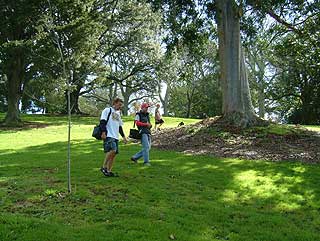 Disc Golf New Zealand Disc Golf New Zealand