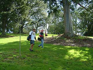 Disc Golf New Zealand