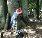 Disc Golf New Zealand