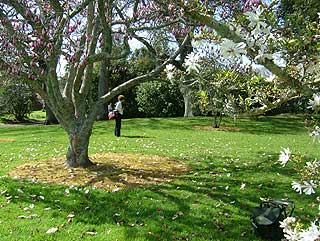 Disc Golf New Zealand