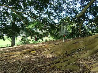 Disc Golf New Zealand