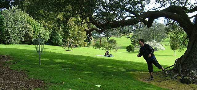 Disc Golf New Zealand