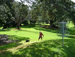 Disc Golf New Zealand