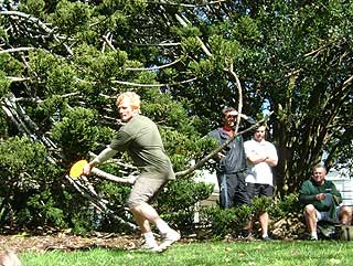 Disc Golf New Zealand