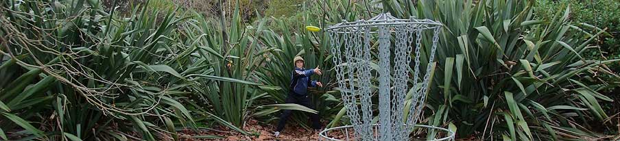 Disc Golf New Zealand