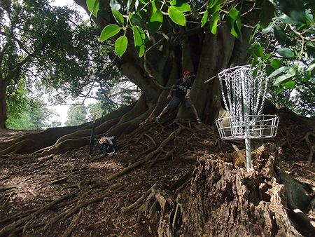 Disc Golf New Zealand