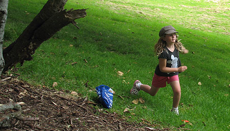 Disc Golf New Zealand