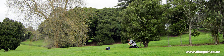 Disc Golf New Zealand