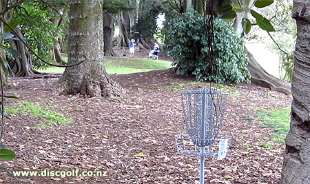 Disc Golf New Zealand