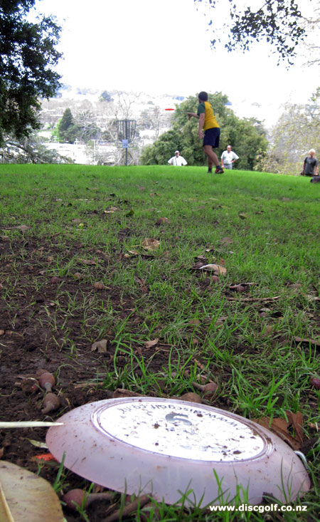 Disc Golf New Zealand