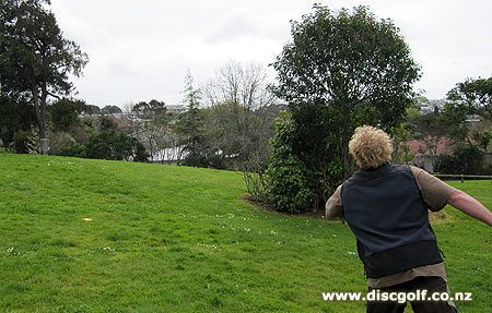 Disc Golf New Zealand