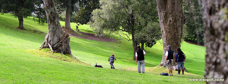 Disc Golf New Zealand