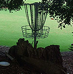 Disc Golf New Zealand