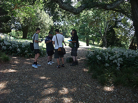 Disc Golf New Zealand