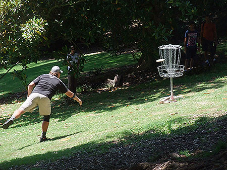 Disc Golf New Zealand