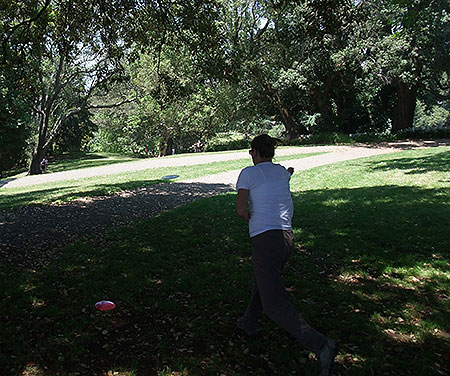 Disc Golf New Zealand