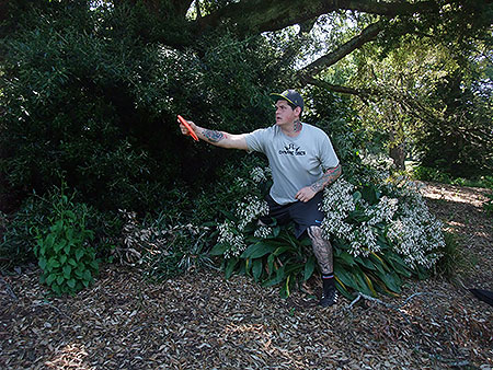 Disc Golf New Zealand