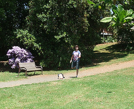 Disc Golf New Zealand