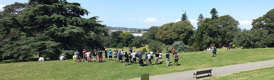 Disc Golf New Zealand