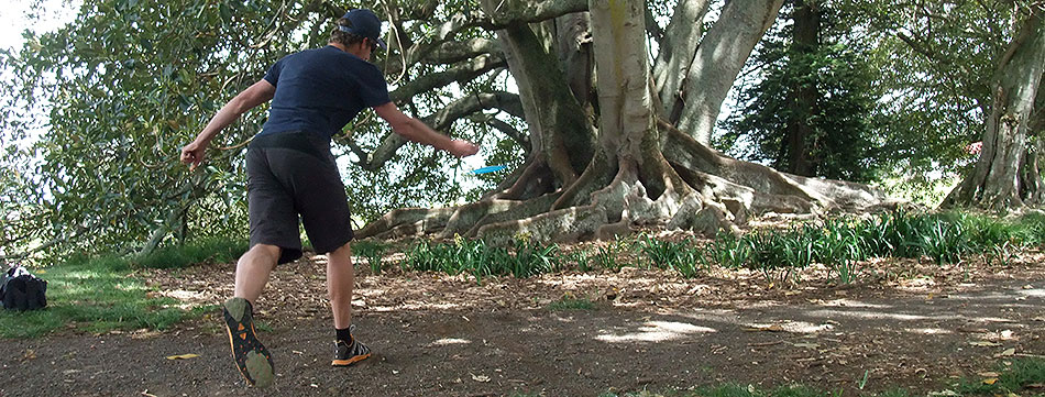 Disc Golf New Zealand