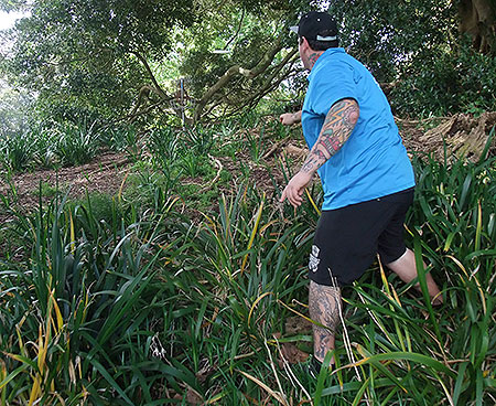 Disc Golf New Zealand