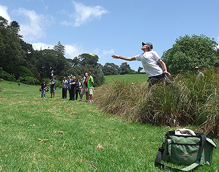 Disc Golf New Zealand