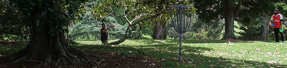 Disc Golf New Zealand