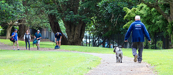 Disc Golf New Zealand