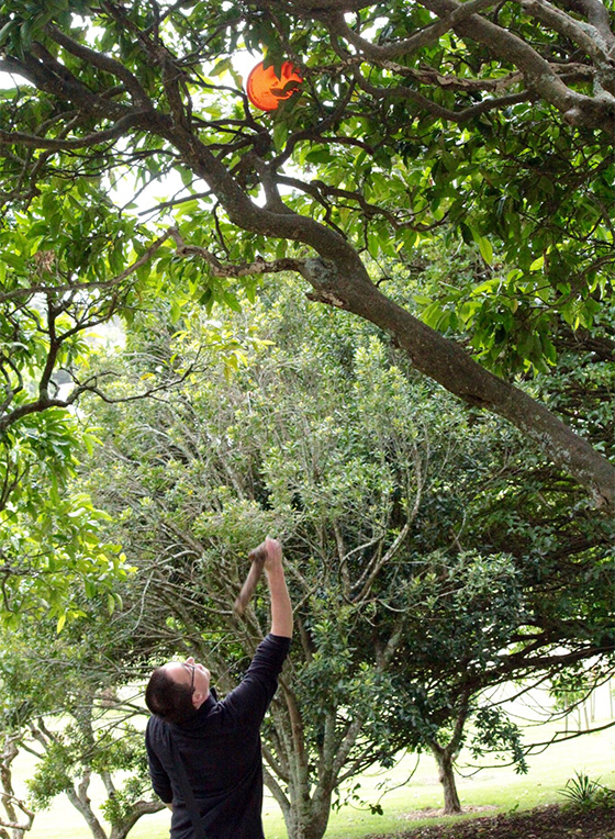 Disc Golf New Zealand