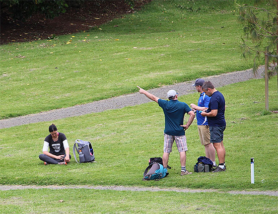 Disc Golf New Zealand