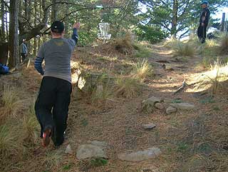 Disc Golf New Zealand