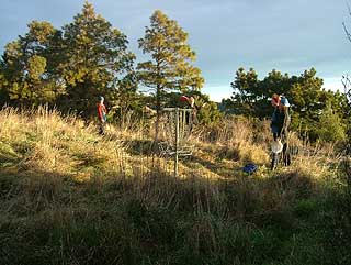 Disc Golf New Zealand