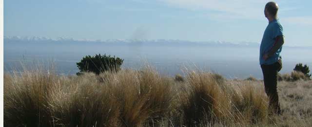 Disc Golf New Zealand