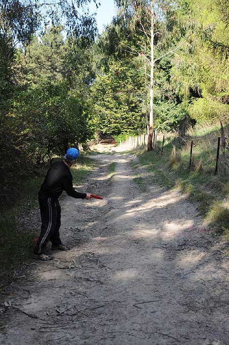 Disc Golf New Zealand