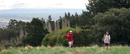 Disc Golf New Zealand