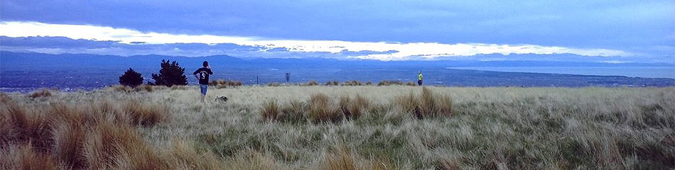 Disc Golf New Zealand