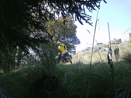 Disc Golf New Zealand