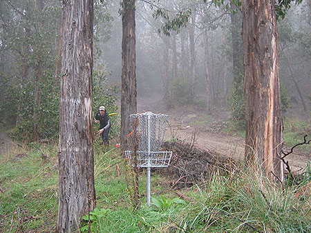 Disc Golf New Zealand