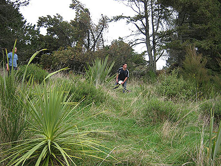 Disc Golf New Zealand