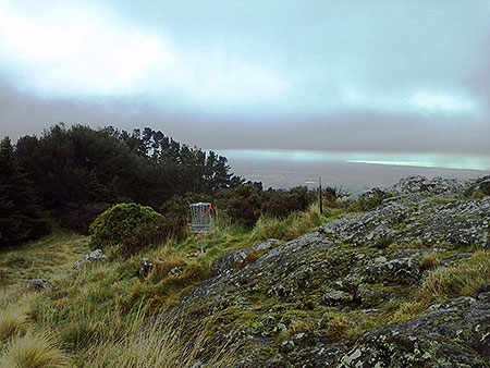 Disc Golf New Zealand