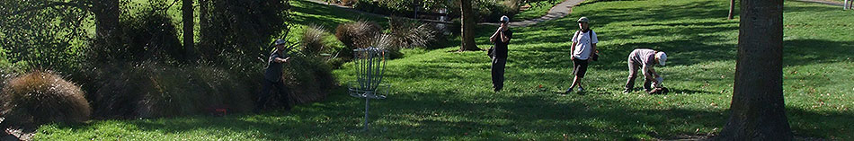 Disc Golf New Zealand