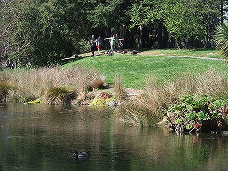 Disc Golf New Zealand