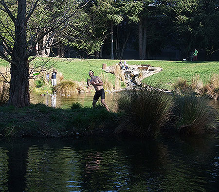 Disc Golf New Zealand