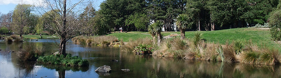 Disc Golf New Zealand