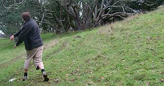 Disc Golf New Zealand