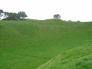 Disc Golf New Zealand