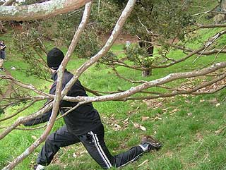 Disc Golf New Zealand