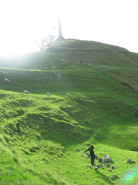 Disc Golf New Zealand