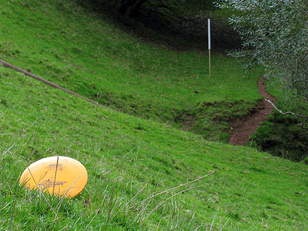 Disc Golf New Zealand